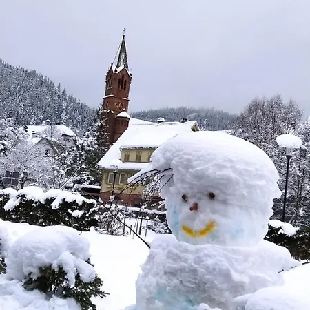 Ferienwohnung, Sauna & Gaestekarte Gratis Im Schwarzwald Baiersbronn Buitenkant foto