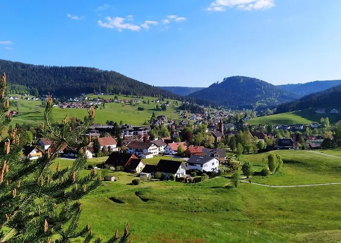 Ferienwohnung, Sauna & Gaestekarte Gratis Im Schwarzwald