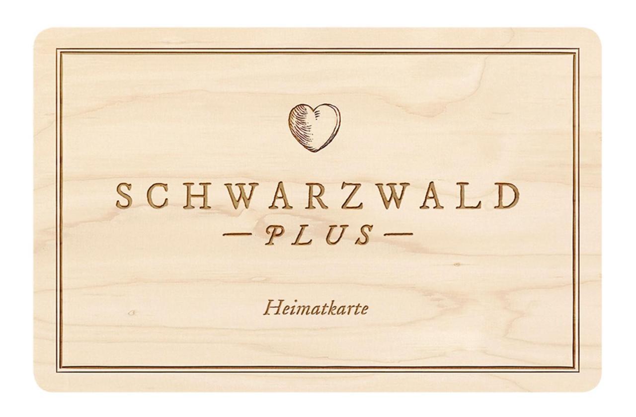 Apartment Ferienwohnung, Sauna & Gaestekarte Gratis Im Schwarzwald