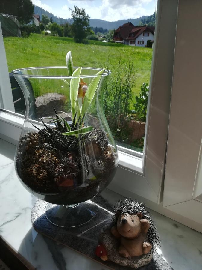 Ferienwohnung, Sauna & Gaestekarte Gratis Im Schwarzwald