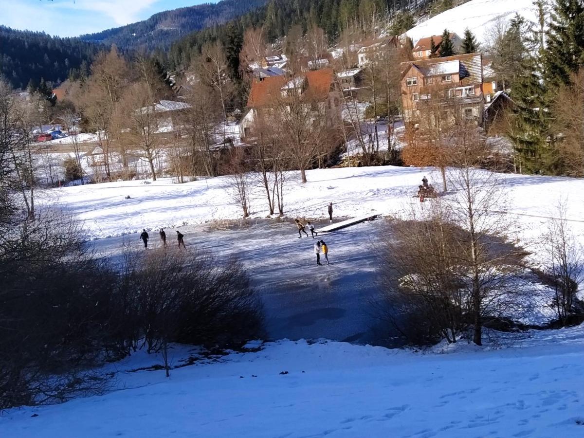 Ferienwohnung, Sauna & Gaestekarte Gratis Im Schwarzwald *