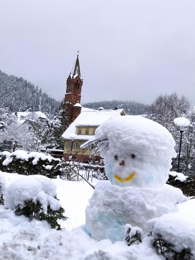 Apartment Ferienwohnung, Sauna & Gaestekarte Gratis Im Schwarzwald Baiersbronn